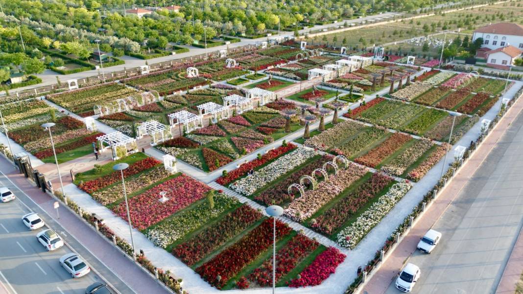 Konya Karatay Gül Bahçesi 2025 sezonunu açtı! Nerede, nasıl gidilir, ne zaman açık, ücretli mi? 2